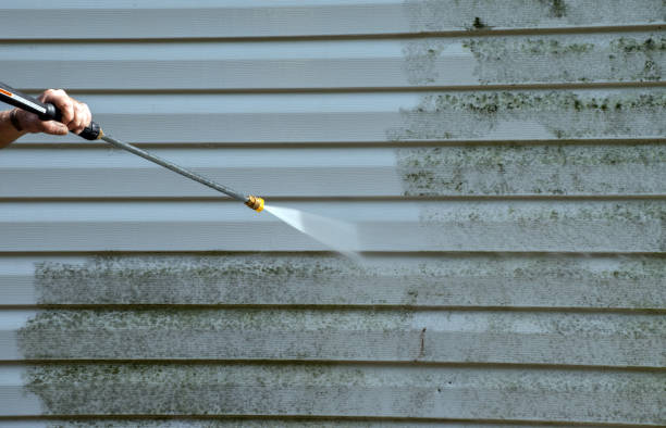 Local Pressure Washing Services in Berryville, AR